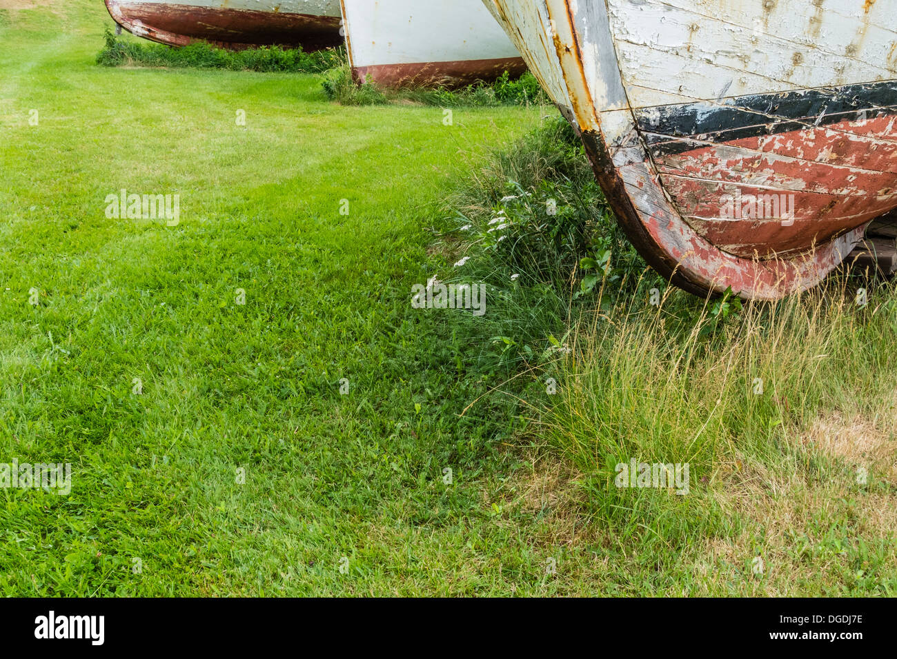 Alten rostigen Angeln Bootsrümpfe aufgereiht auf dem Rasen in einem Zustand des Verfalls, verschlechtert sich auf Prince Edward Island. Stockfoto