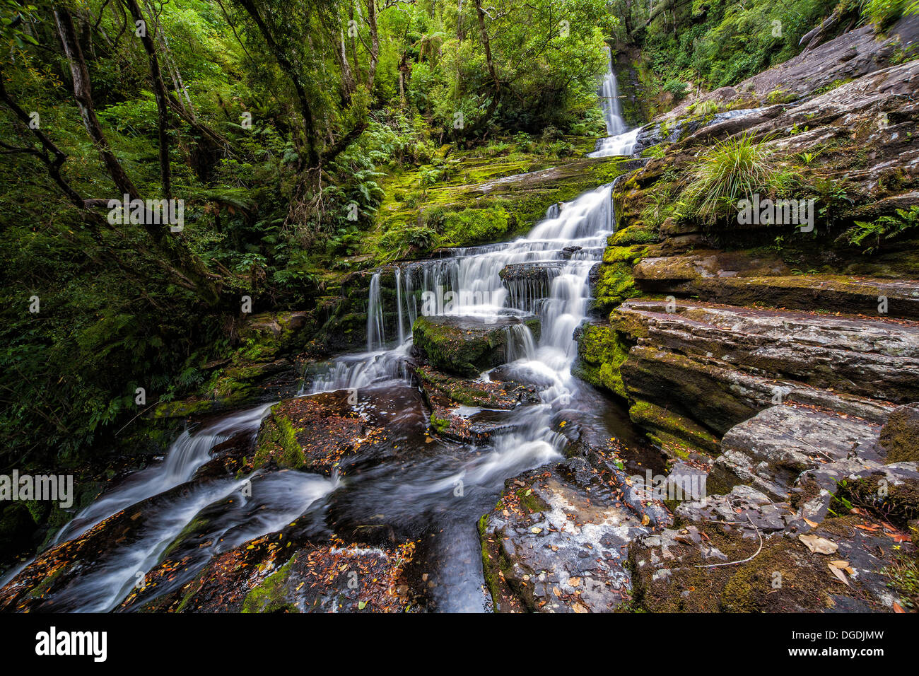 McLean Falls, Catlins, Südinsel, Neuseeland. Stockfoto