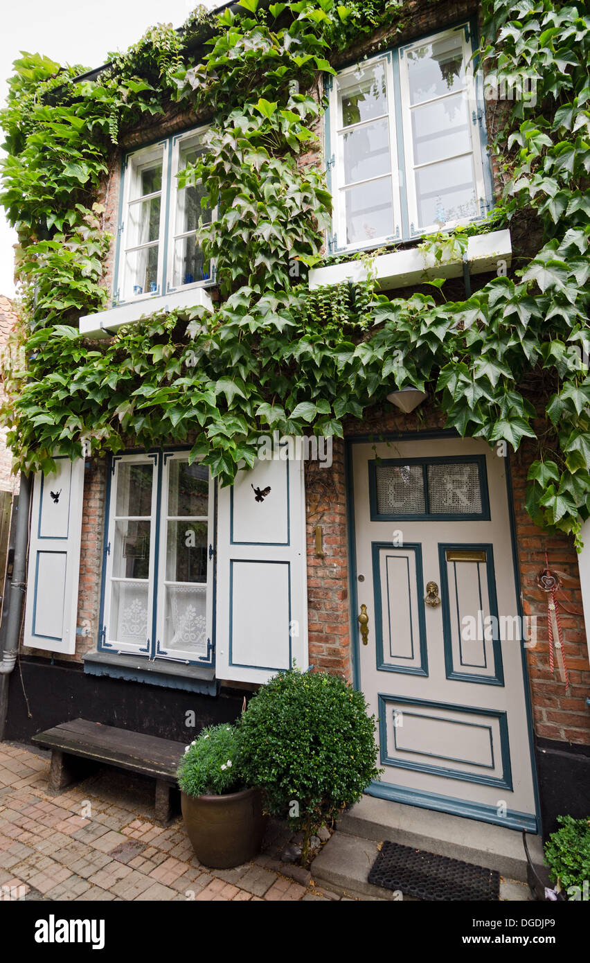 Haus mit Efeu bedeckt Fassade in Lübeck, Deutschland Stockfoto