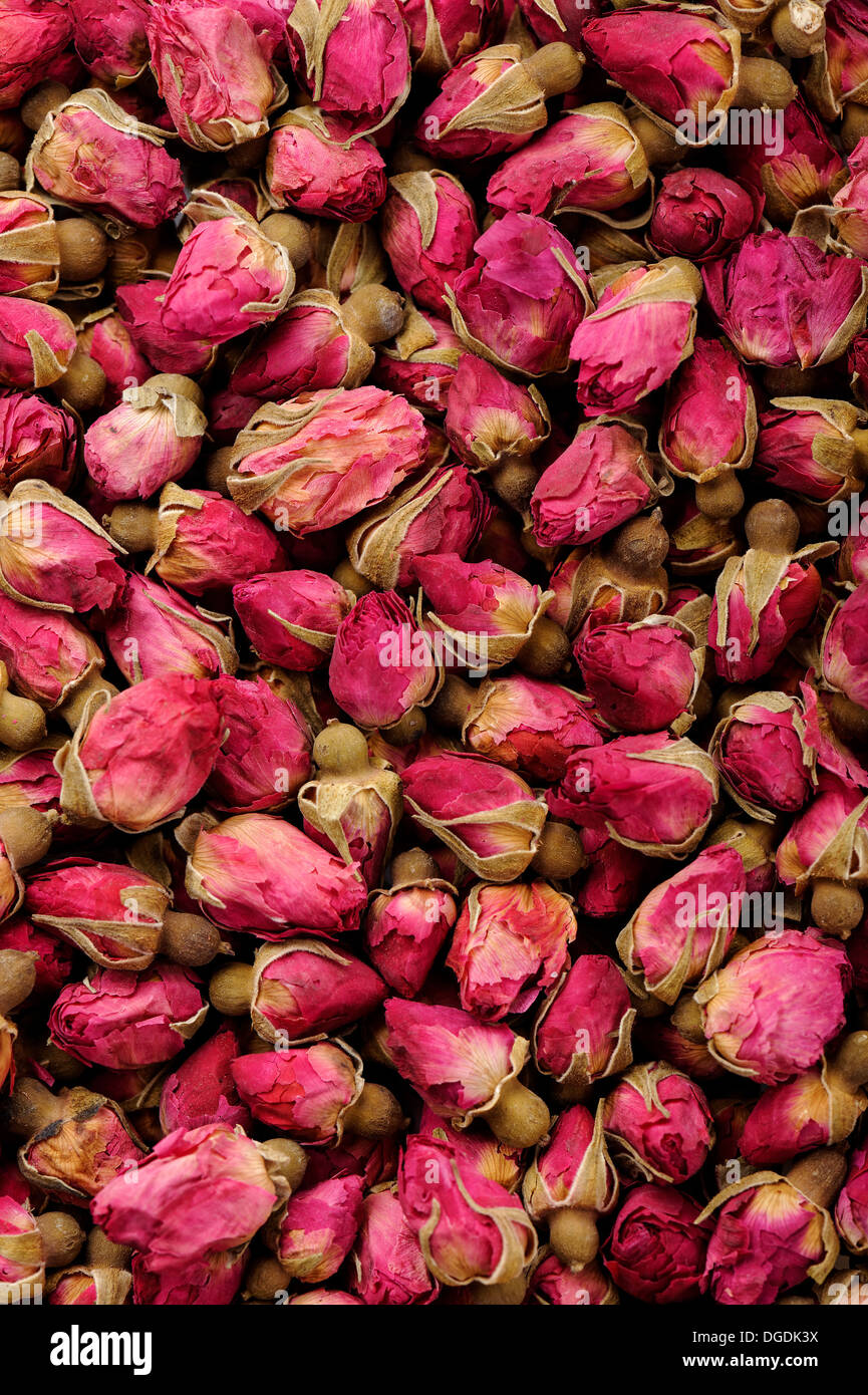 Nahaufnahme der vielen Rosen für Tee-Hintergrund Stockfoto