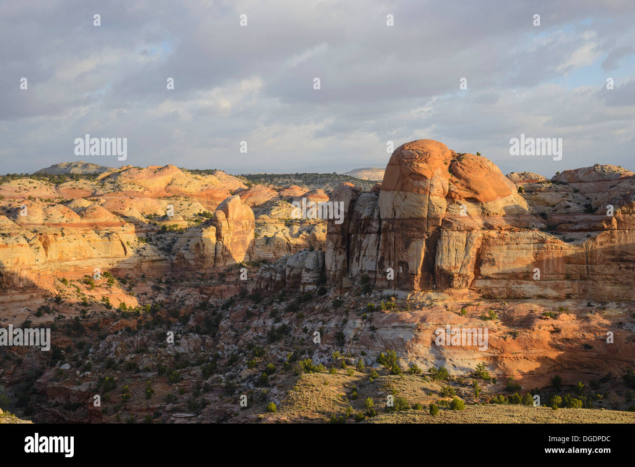 Escalante River Canyon, Grand Treppe Escalante National Monument, Utah, USA Stockfoto