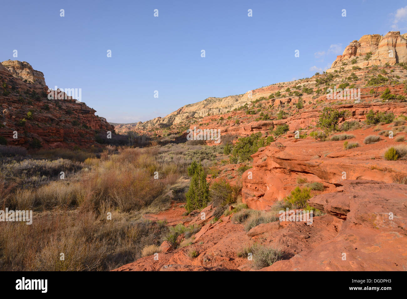 Calf Creek Trail, Grand Staircase Escalante National Monument, Utah, USA Stockfoto