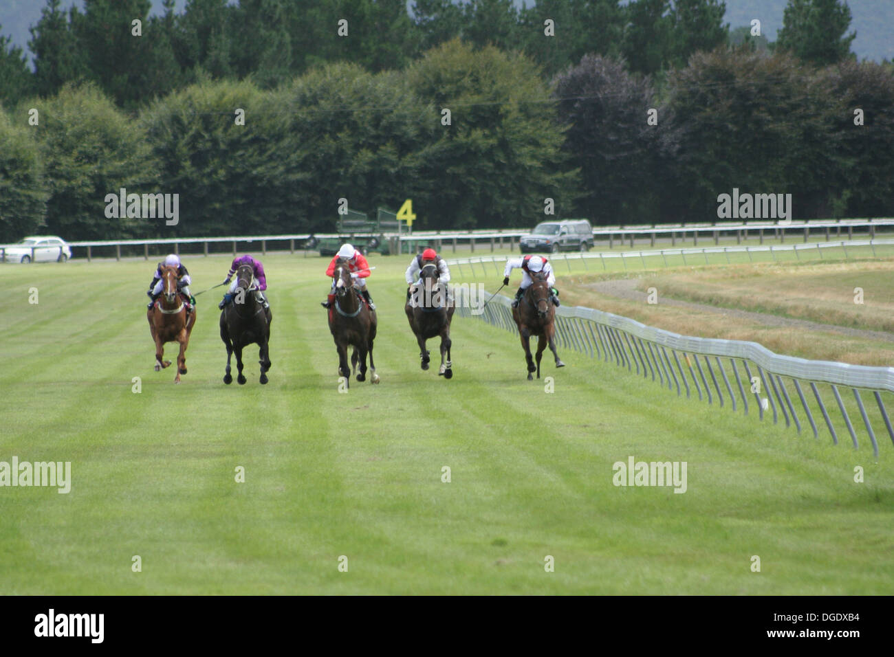 Jockeys auf Rennpferde auf einer Strecke von grass Stockfoto