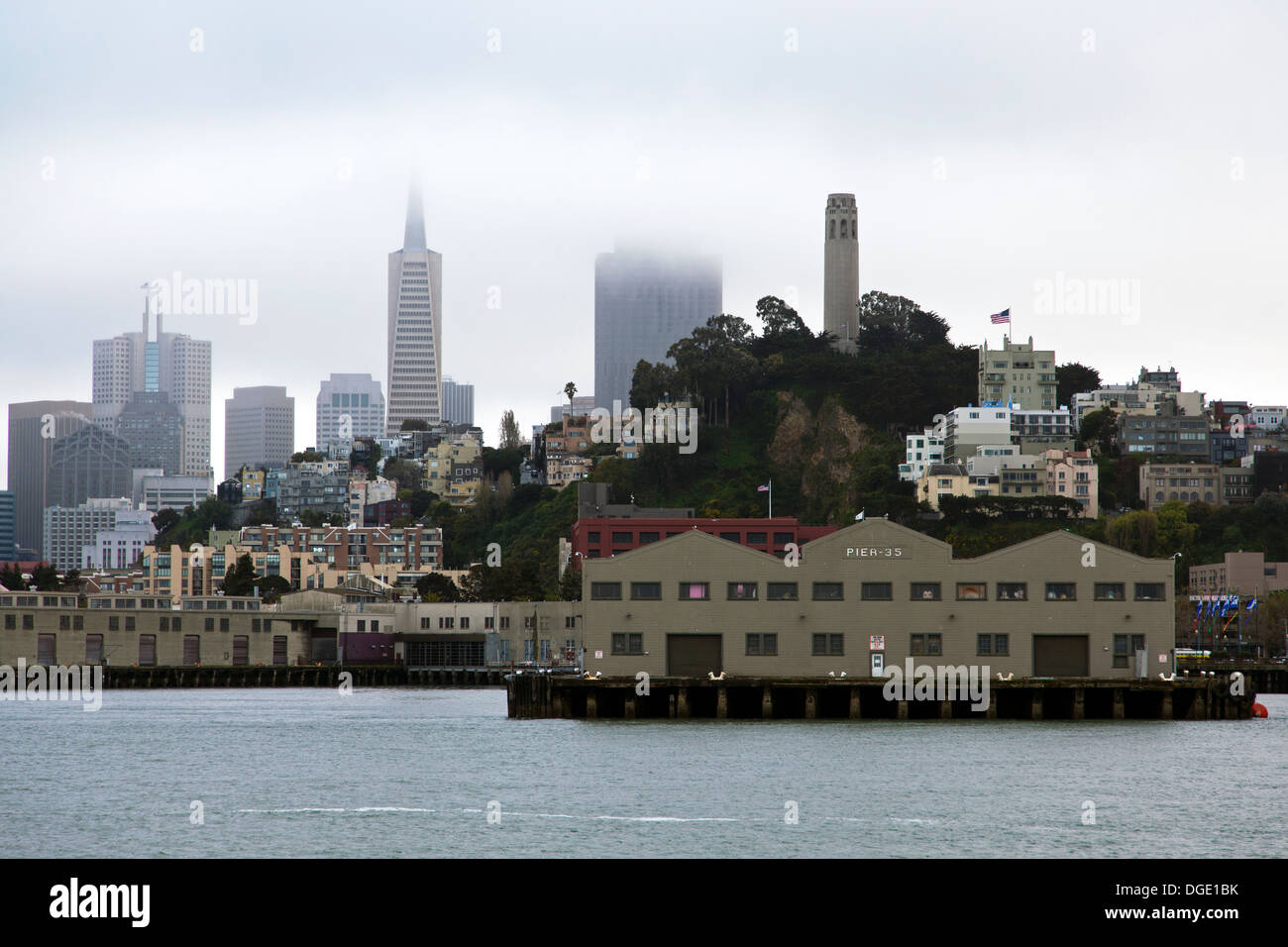 Pier 35 & Coit Tower, Fisherman Wharf, San Francisco, Kalifornien, USA. Stockfoto