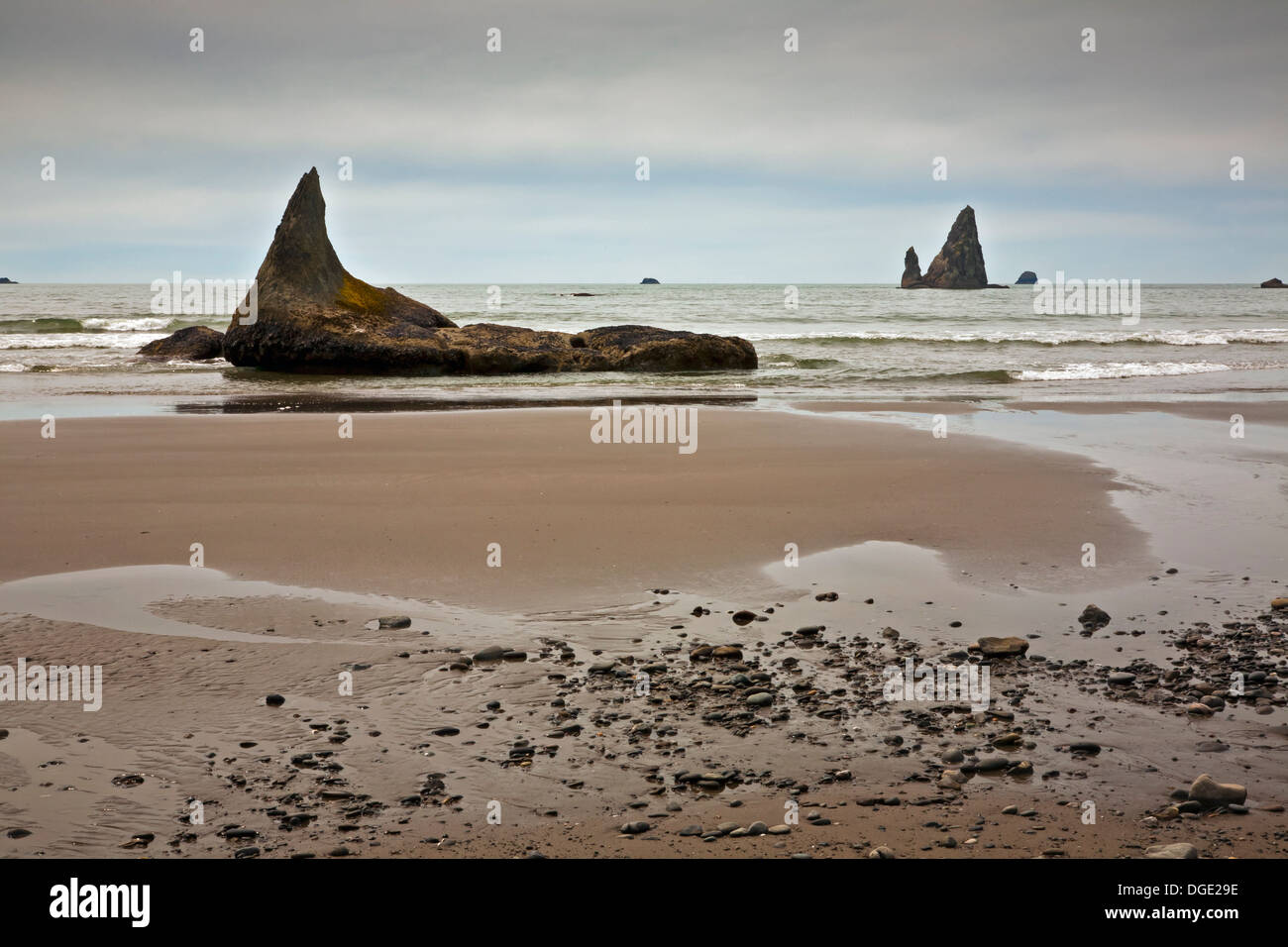 Seastacks, Inseln und Felsen entlang der Ufer von Oil City Beach in der Wildnis Küstenabschnitt der Olympic National Park. Stockfoto