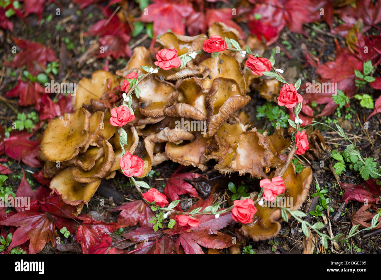 Blumen Kranz Verlegung im goldenen Herbst Blätter Stockfoto