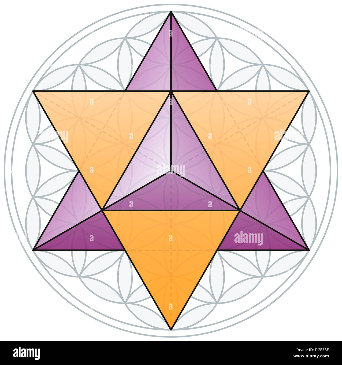Merkaba, das Doppel-Tetraeder, passt in die Blume des Lebens, eine geometrische Figur Stockfoto