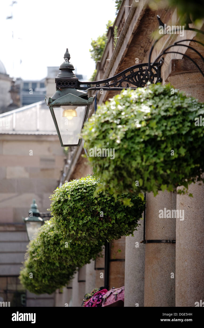 Hängenden Körben von Ivy in Covent Garden in London Stockfoto