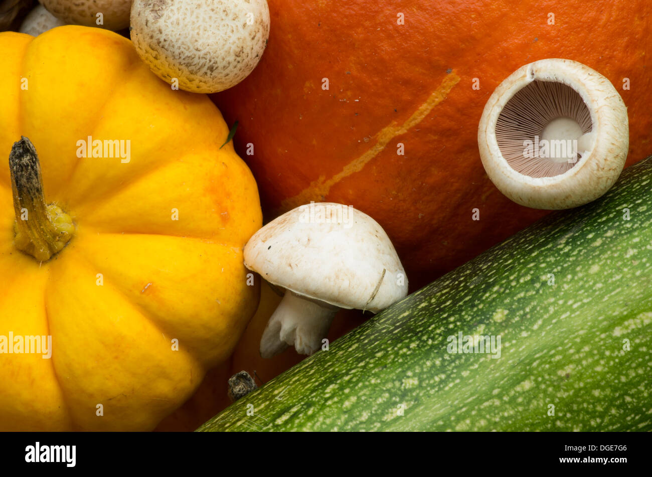 Herbstfrüchte. Stockfoto