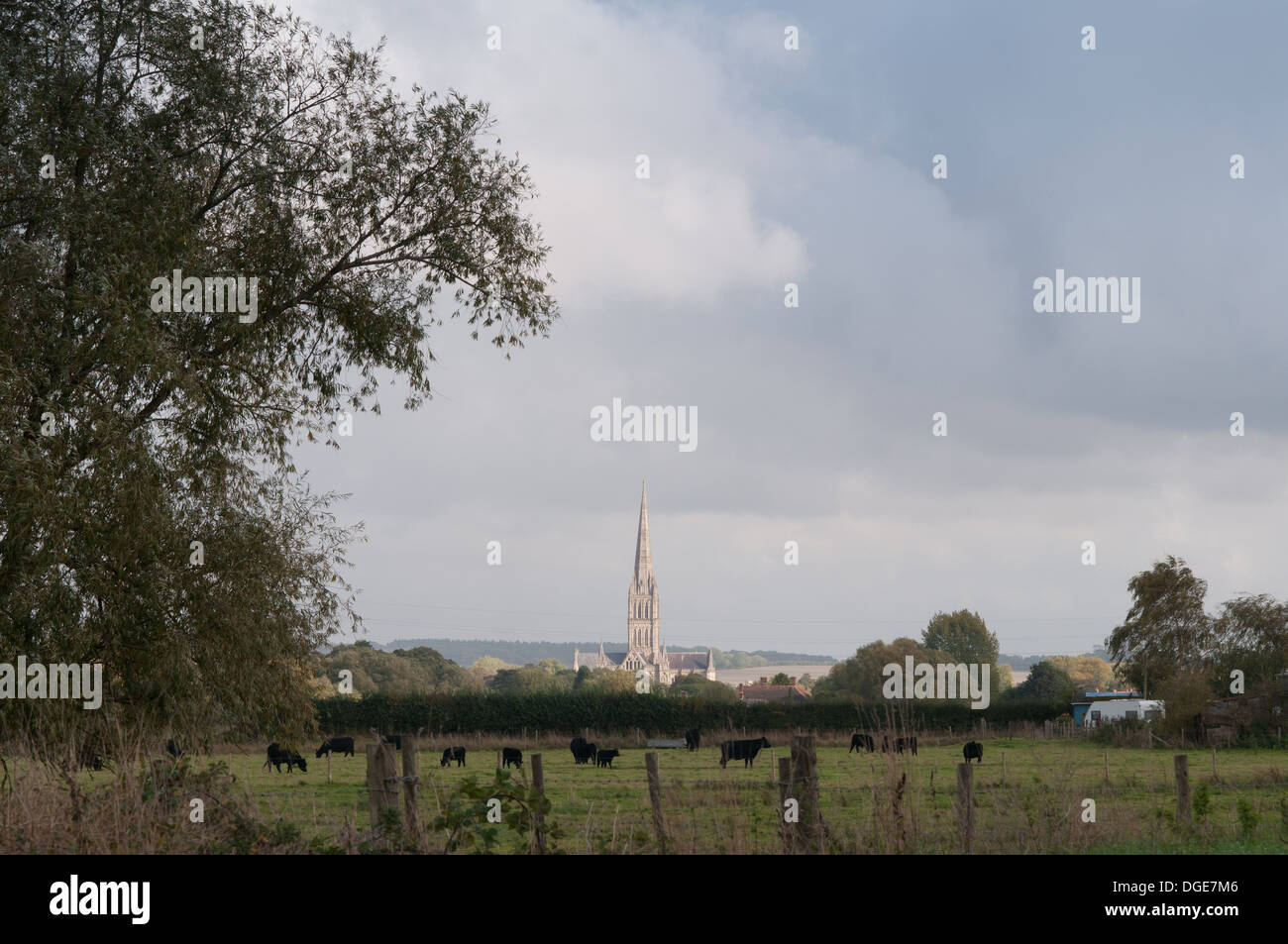 Kathedrale von Salisbury eine anglikanische Kathedrale in Wiltshire. 123m Höhe und begonnene Bau 1220 Stockfoto