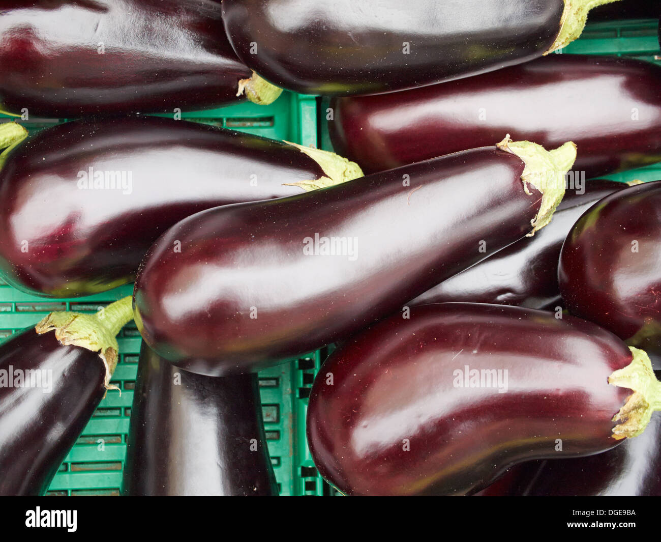 Auberginen aka Auberginen auf einem Bauernmarkt, Kingston, England Stockfoto