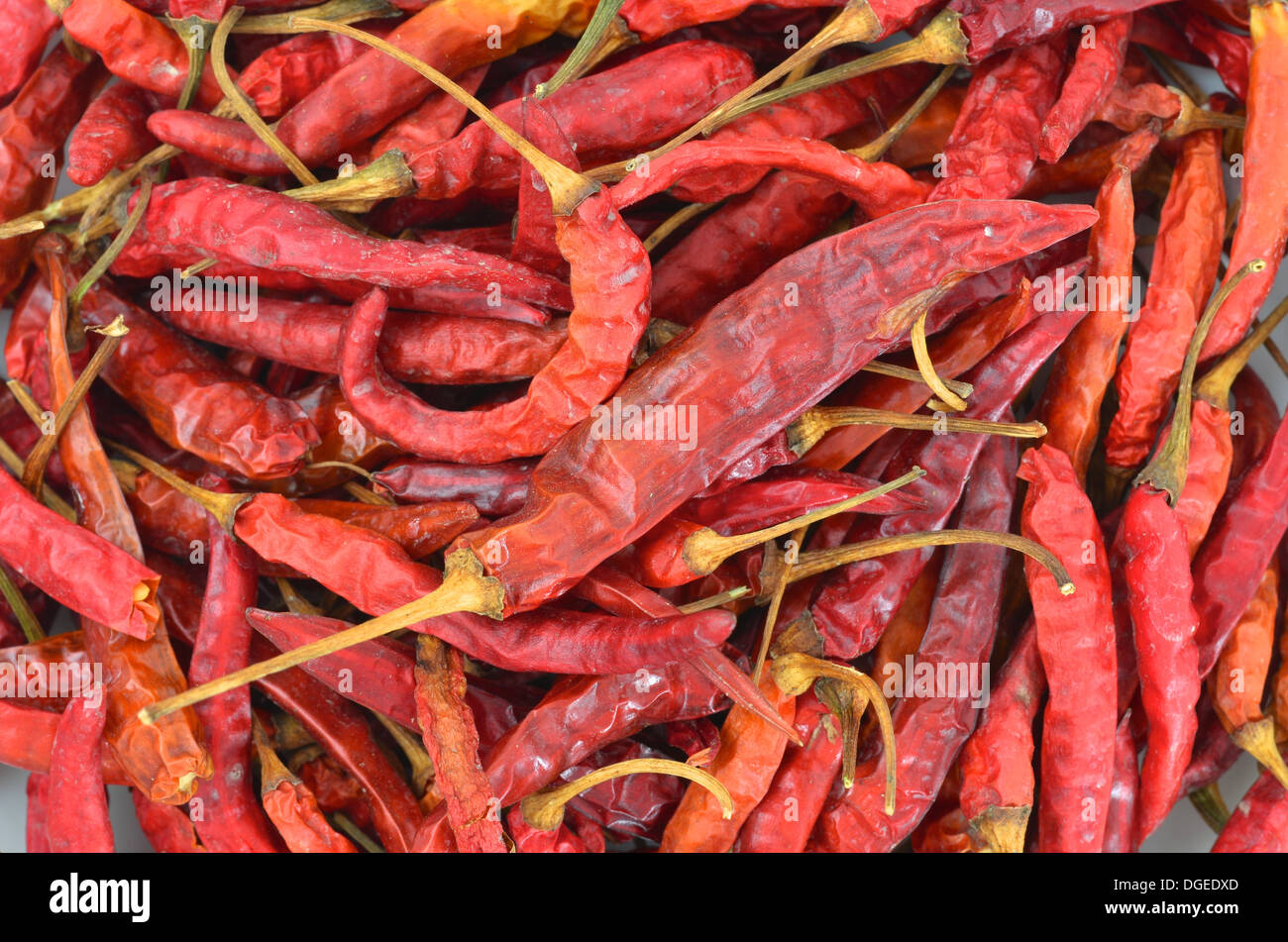 Getrocknete Chilischoten Stockfoto