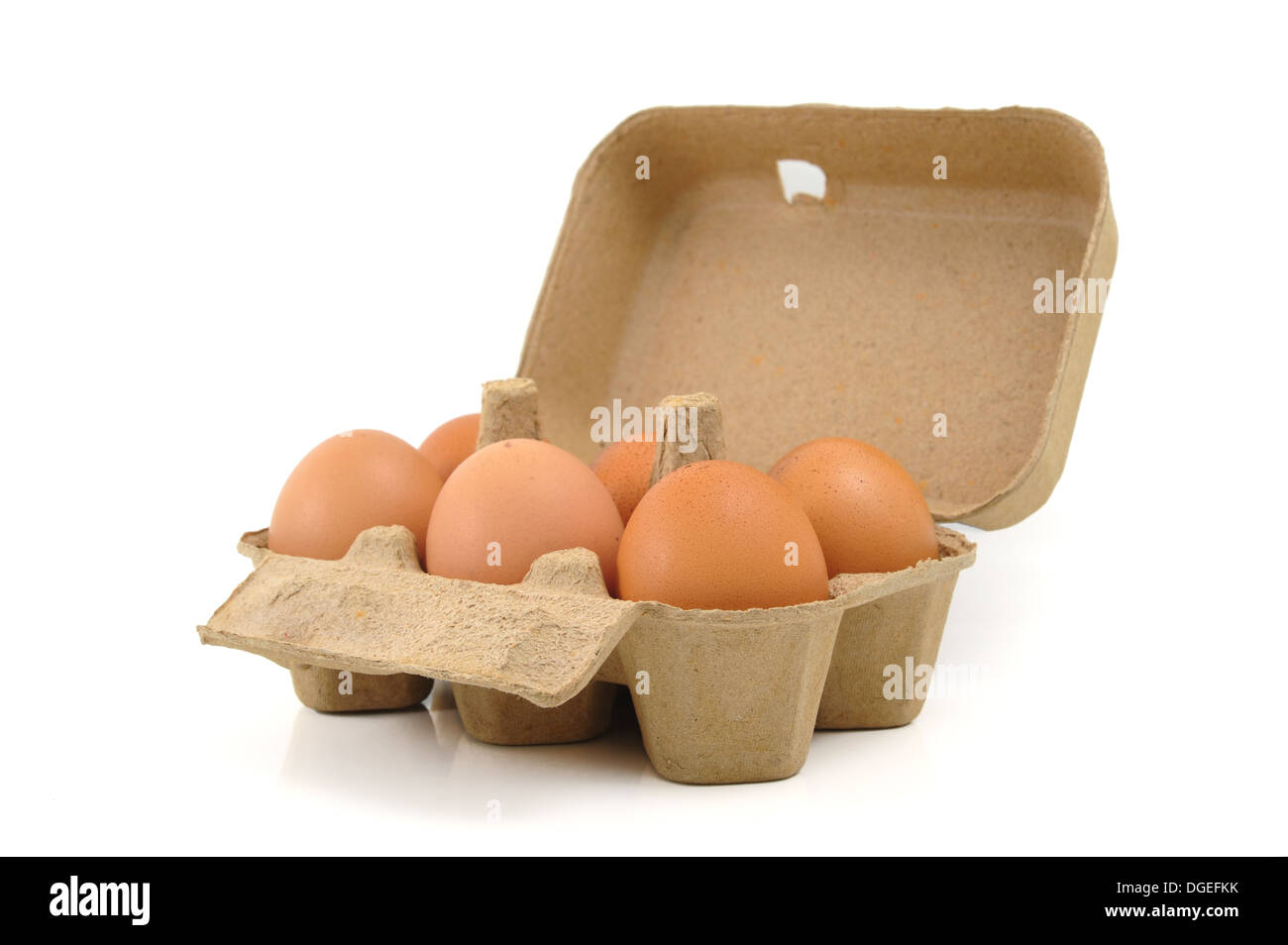 Eiern im Karton Stockfoto