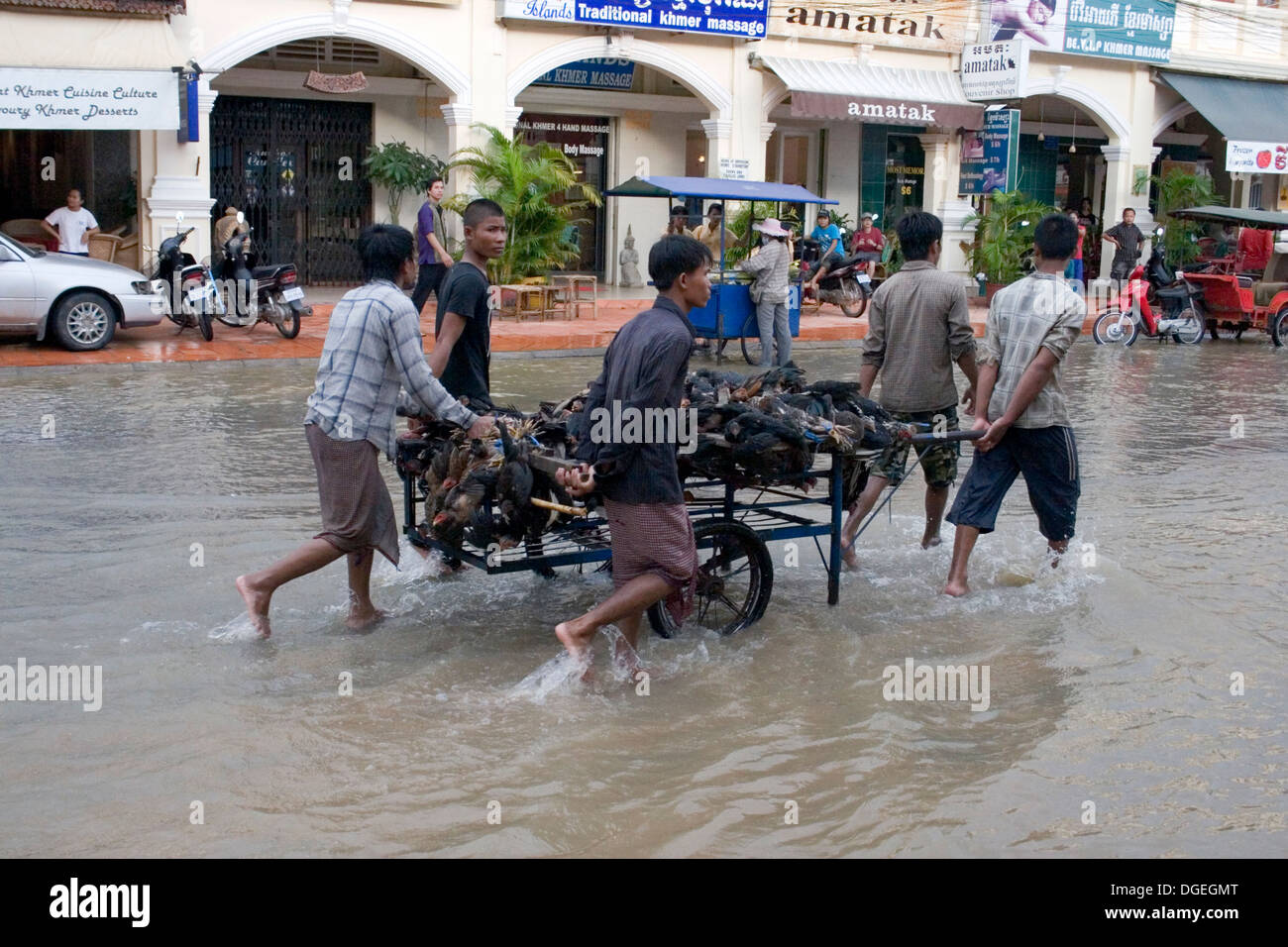 Fünf junge Männer transportieren eine Last von live Enten auf einem Metall Wagen auf einer überfluteten Stadtstraße in Siem Reap, Kambodscha. Stockfoto