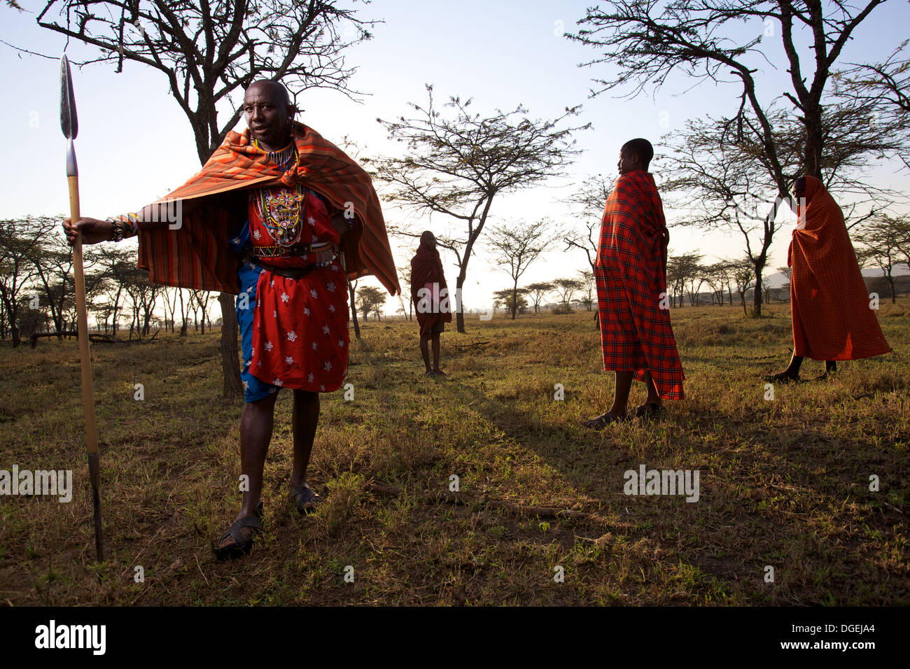 Massai-Häuptling mit Speer in der Morgendämmerung, Mara-Region, Kenia Stockfoto