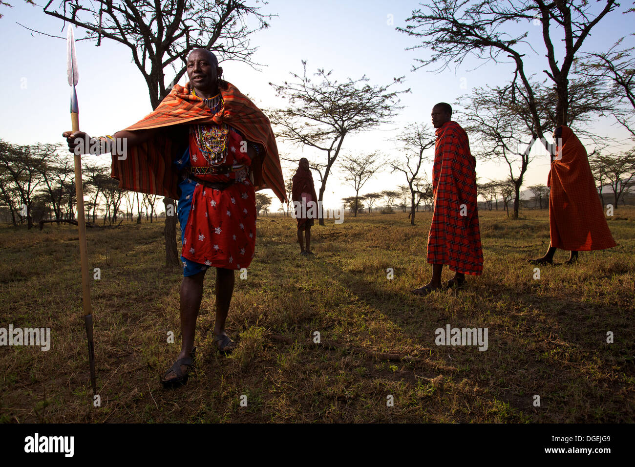 Massai-Häuptling mit Speer in der Morgendämmerung, Mara-Region, Kenia Stockfoto