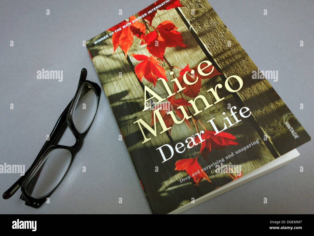 Kanadische Schriftstellerin Alice Munro gewinnt 2013 Nobelpreis für Literatur, London Stockfoto
