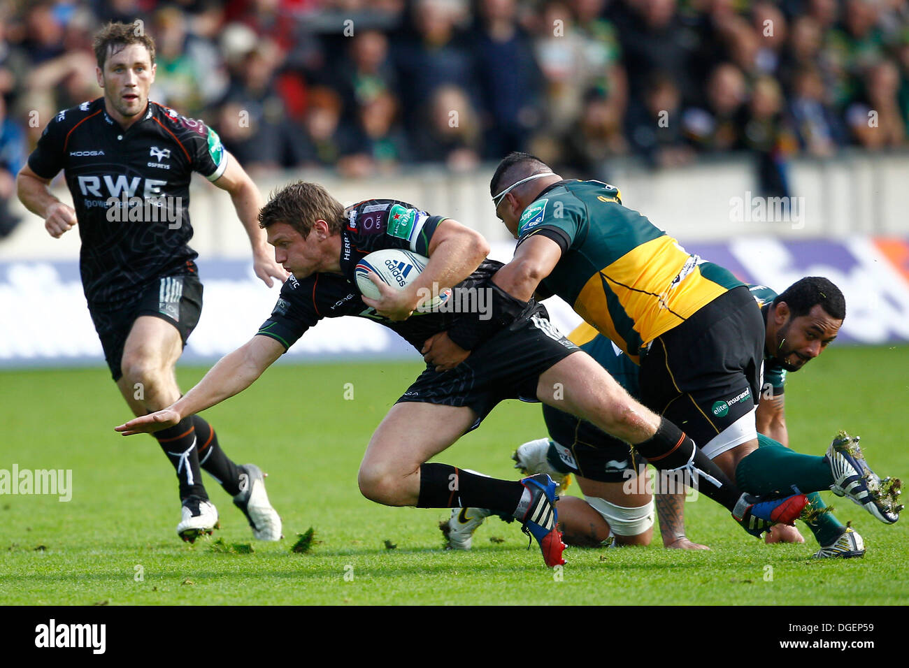 Northampton, UK. 20. Oktober 2013. Aktion aus dem 2013 / 14 Heineken Cup Pool 1 Runde 2 Spiel zwischen Northampton Saints (ENG) und Fischadler (WAL) spielte in Franklins Gardens, Northampton am Sonntag, 20. Oktober 2013. Bildnachweis: Graham Wilson/Alamy Live-Nachrichten Stockfoto