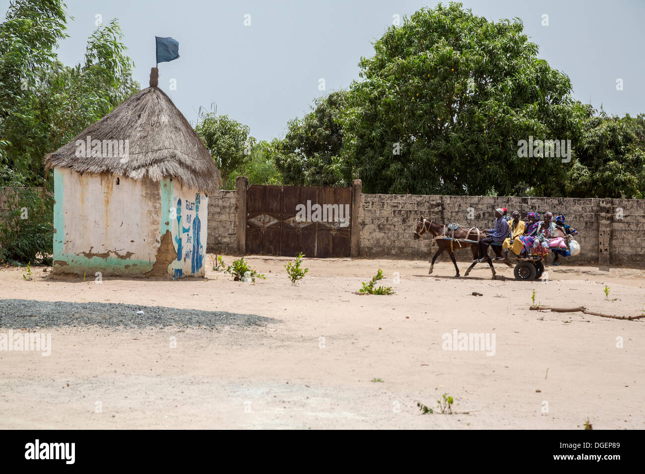 Öffentlichem Verkehr, einem Horse-drawn Wagen, Fass Njaga Choi, North Bank Region, Gambia. Stockfoto