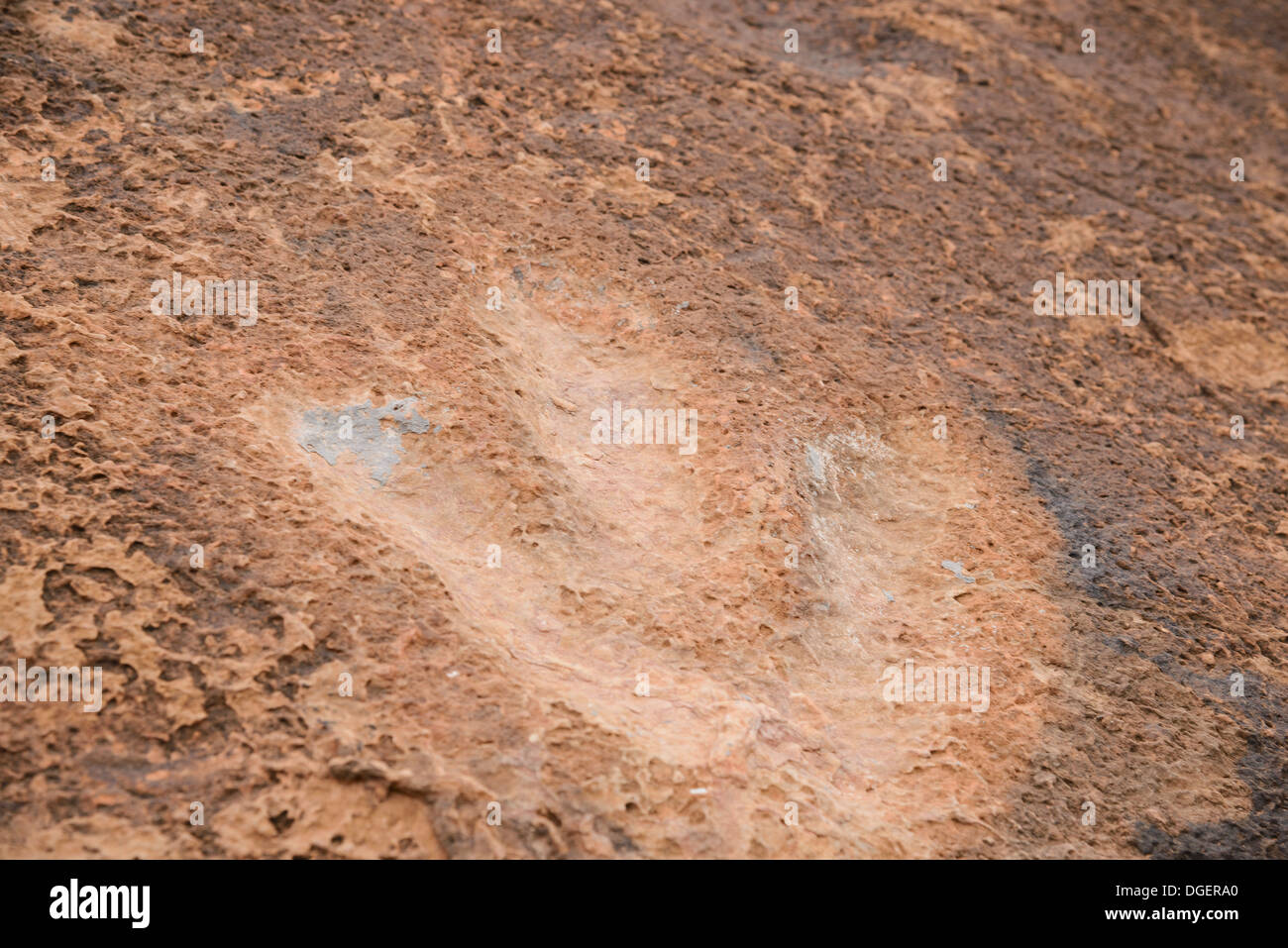 Dinosaurier-Fußspuren, Potash Road, in der Nähe von Moab, Utah, USA Stockfoto