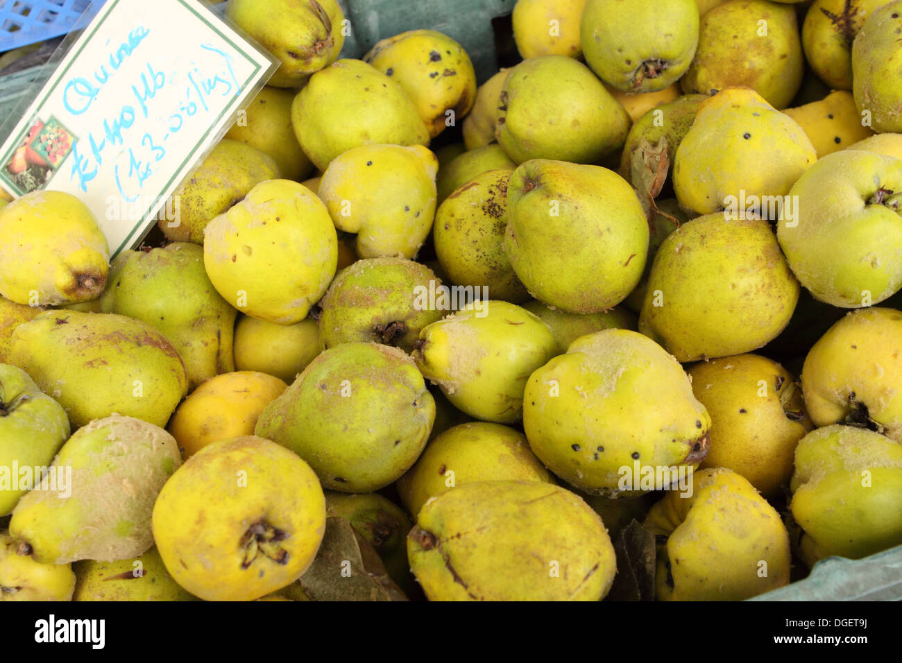 Quitte Früchte für den Verkauf auf dem stall im Oktober Somerset England UK Stockfoto