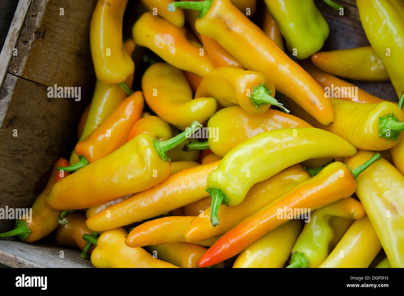 Hungarian paprika Fotos und Bildmaterial in hoher Auflösung Alamy