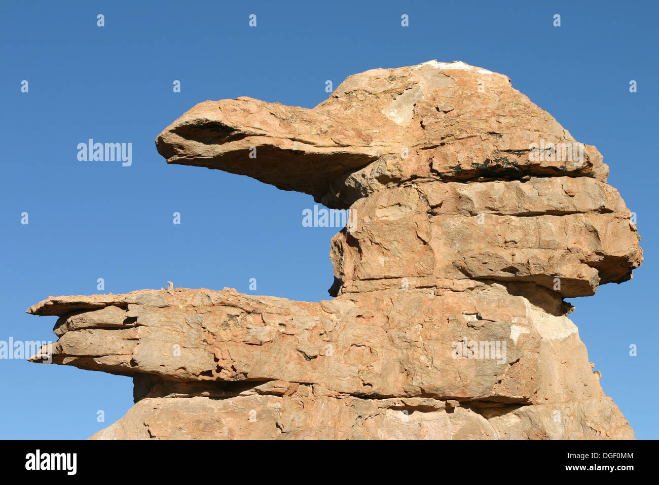 Vogelkopf Formen Lavagestein in Bolivien Stockfoto