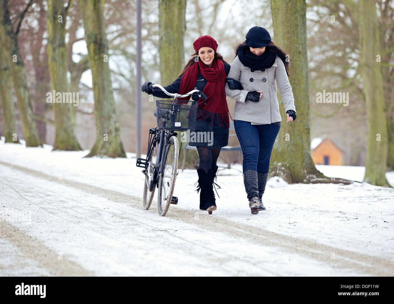 Damen genießen Sie ihren Spaziergang in einem kalten Winter park Stockfoto
