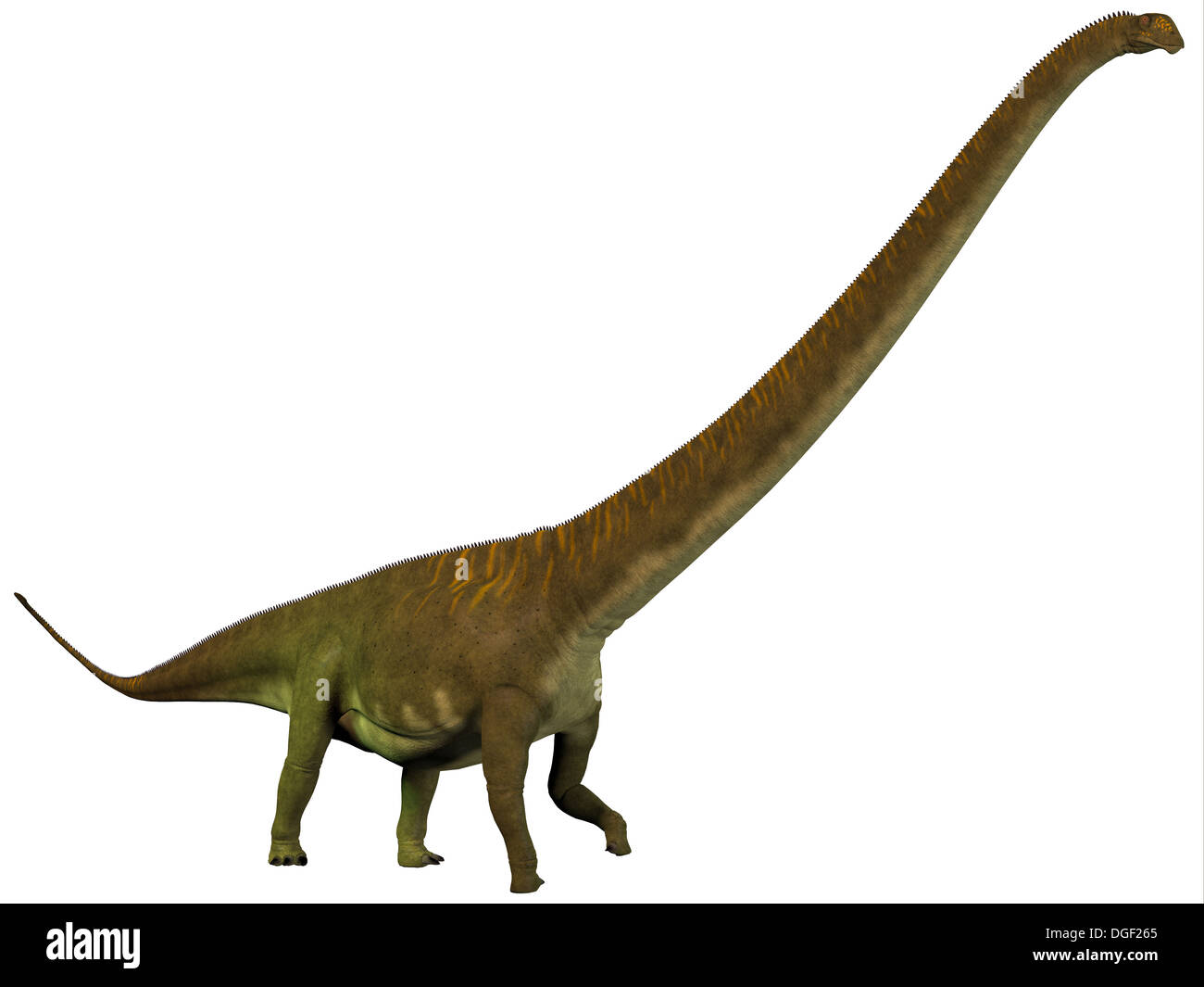 Dinosauriers war ein Pflanzenfresser Sauropod Dinosaurier aus dem späten Jura Periode Chinas. Stockfoto