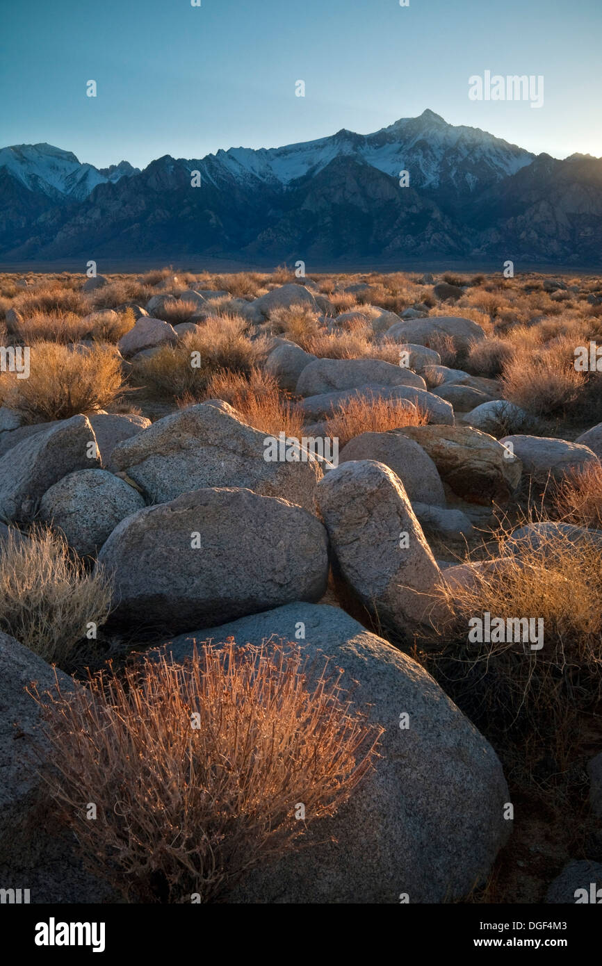 Rock-Bereich bei Sonnenuntergang unter den Bergen der östlichen Sierra, in der Nähe von Manzanar, Kalifornien Stockfoto