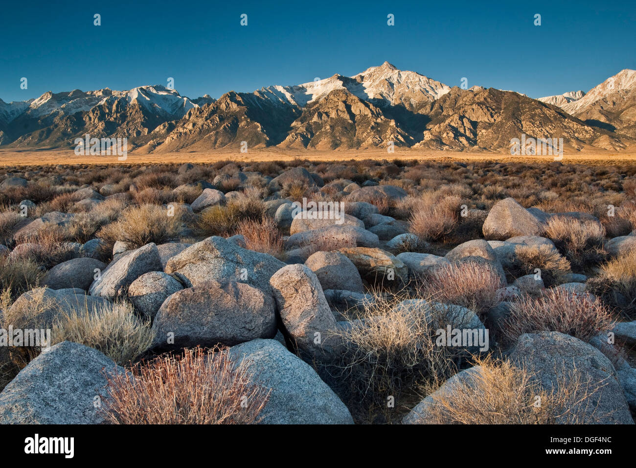 Rock-Feld unter den Bergen der östlichen Sierra, in der Nähe von Manzanar, Kalifornien Stockfoto