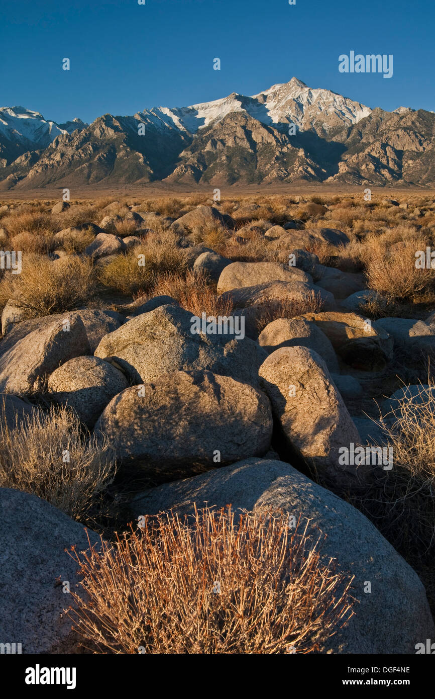 Rock-Feld unter den Bergen der östlichen Sierra, in der Nähe von Manzanar, Kalifornien Stockfoto