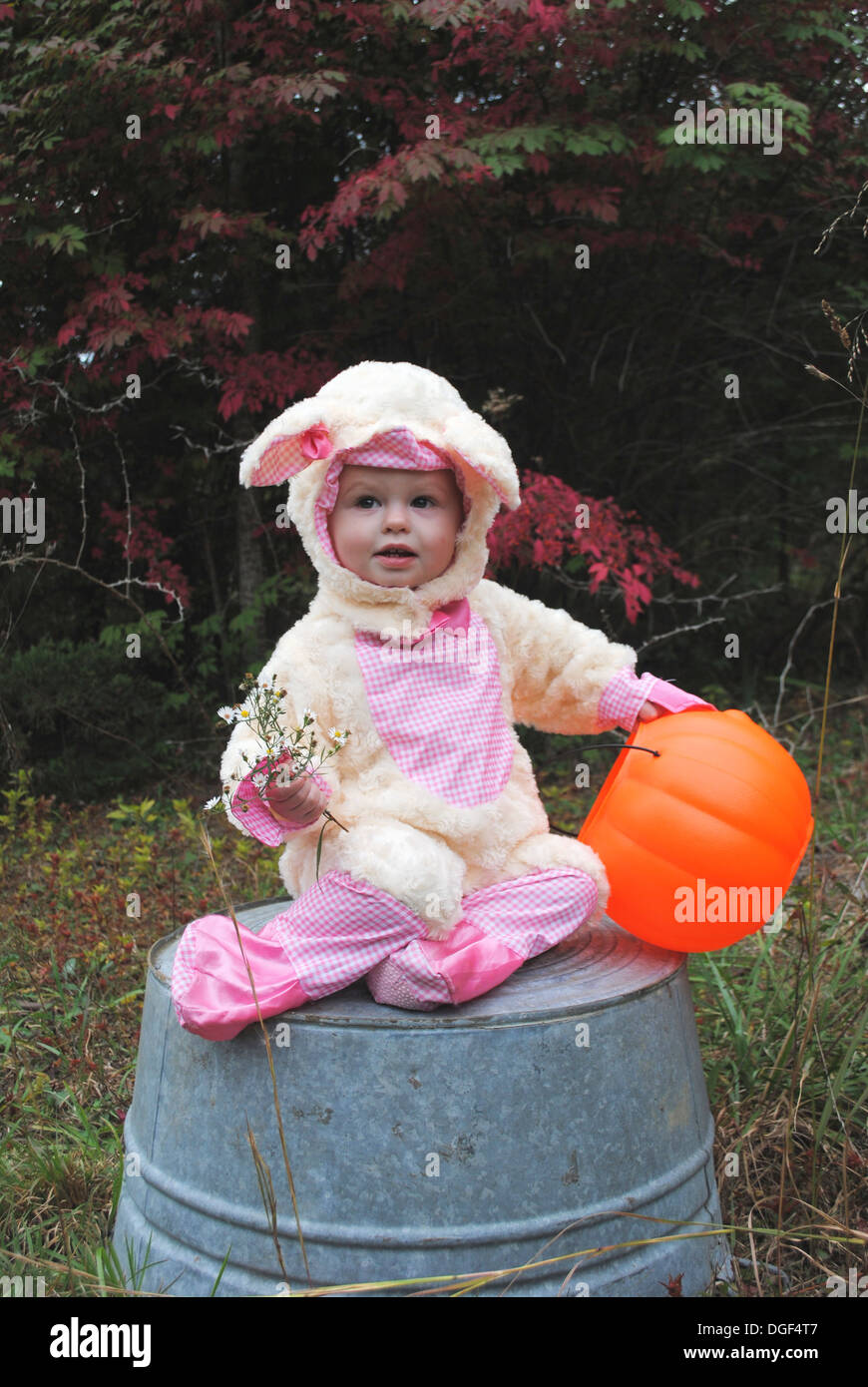 Baby in ein Lamm-Kostüm für Halloween einen Kürbis mit einem Blumenstrauß in einer Herbst-Landschaft auf einem alten Waschzuber gesetzt. Stockfoto