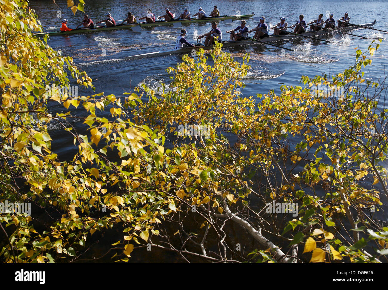 Cambridge, Massachusetts, USA, 20. Oktober 2013. Harvard University, University of Washington und Vordergrund konkurrieren in der Herren Meisterschaft Achter während der Leiter der Charles Regatta in Cambridge, Massachusetts, Sonntag, 20. Oktober 2013. Stockfoto
