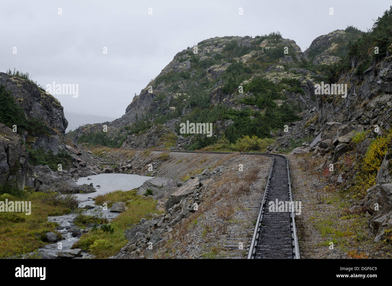 20 Meilen von der White Pass Railway. Sie gehen von Küsten-Regenwald, alpine Tundra in kürzester Zeit. Stockfoto