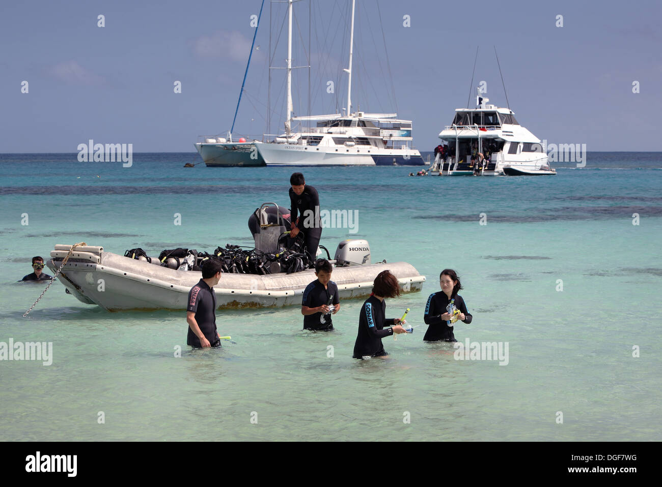 Tauchen am Michelmans Cay auf das Great Barrier Reef. Cairns, Queensland, Australien. Stockfoto