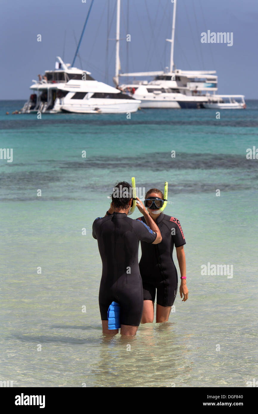 Schnorcheln an Michelmans Cay auf das Great Barrier Reef. Cairns, Queensland, Australien. Stockfoto