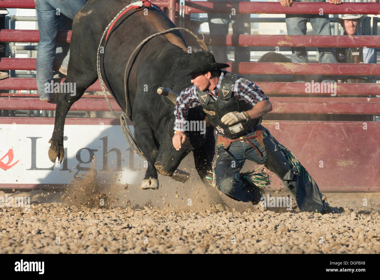 Lancaster, CA, USA. 20. Oktober 2013. 2013 PRCA RAM Kalifornien Circuit Finals Rodeo findet auf Antelope Valley Messegelände. Viele von den Veranstaltungsteilnehmern werden auch das National Finals Rodeo in Las Vegas, NV noch in diesem Jahr teilnehmen. Bildnachweis: Ross Weg/Alamy Live-Nachrichten Stockfoto