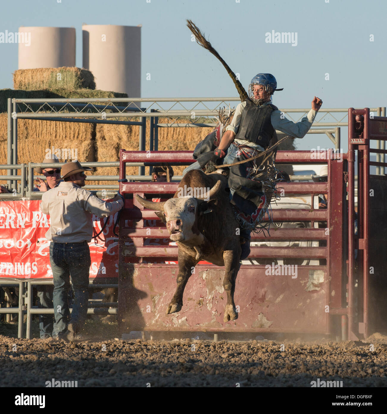 Lancaster, CA, USA. 20. Oktober 2013. 2013 PRCA RAM Kalifornien Circuit Finals Rodeo findet auf Antelope Valley Messegelände. Viele von den Veranstaltungsteilnehmern werden auch das National Finals Rodeo in Las Vegas, NV noch in diesem Jahr teilnehmen. Bildnachweis: Ross Weg/Alamy Live-Nachrichten Stockfoto