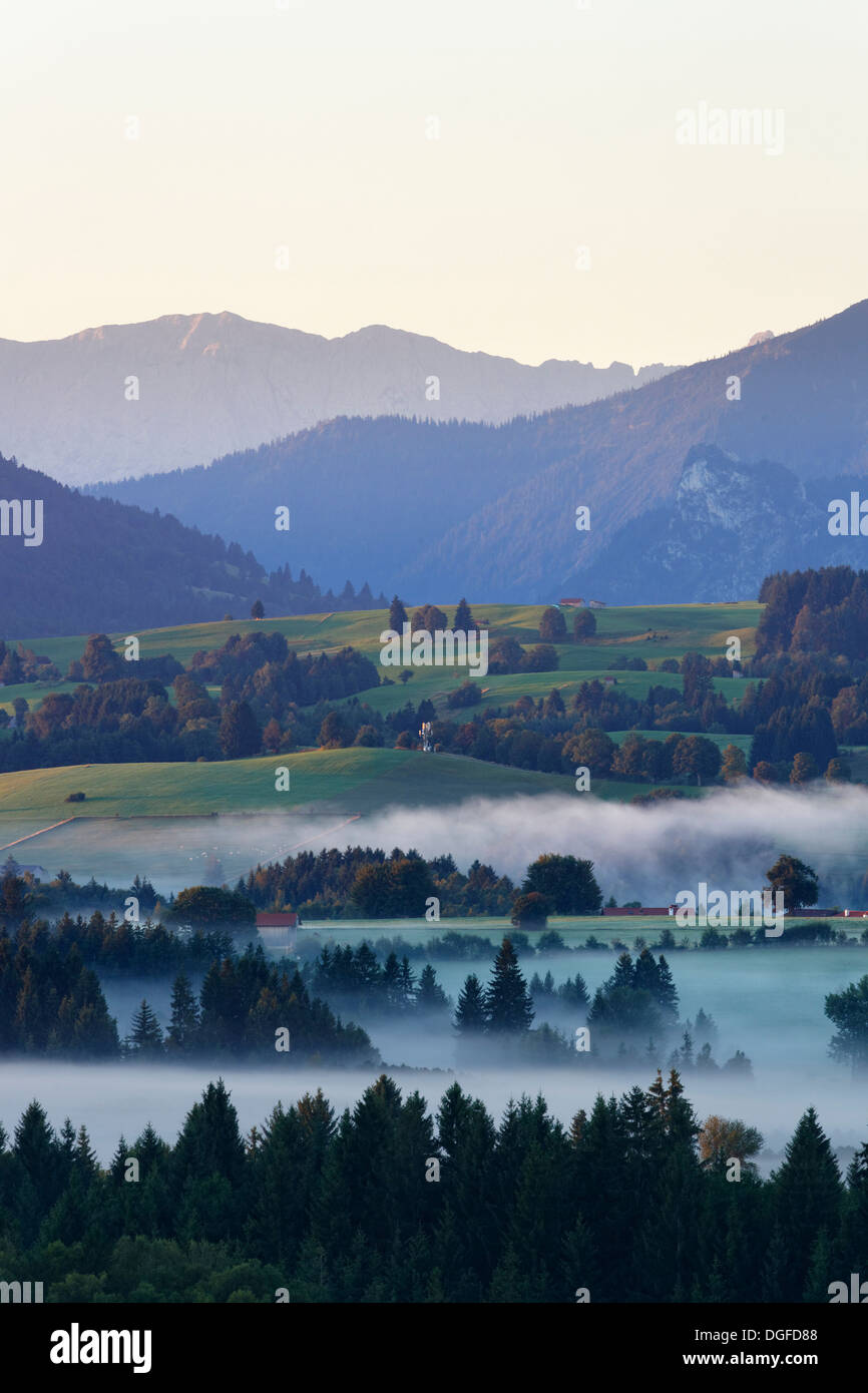Landschaft in das Alpenvorland, morgen-Stimmung mit Nebel, Schönberg, Rottenbuch, Region Pfaffenwinkel, Bayern, Oberbayern Stockfoto
