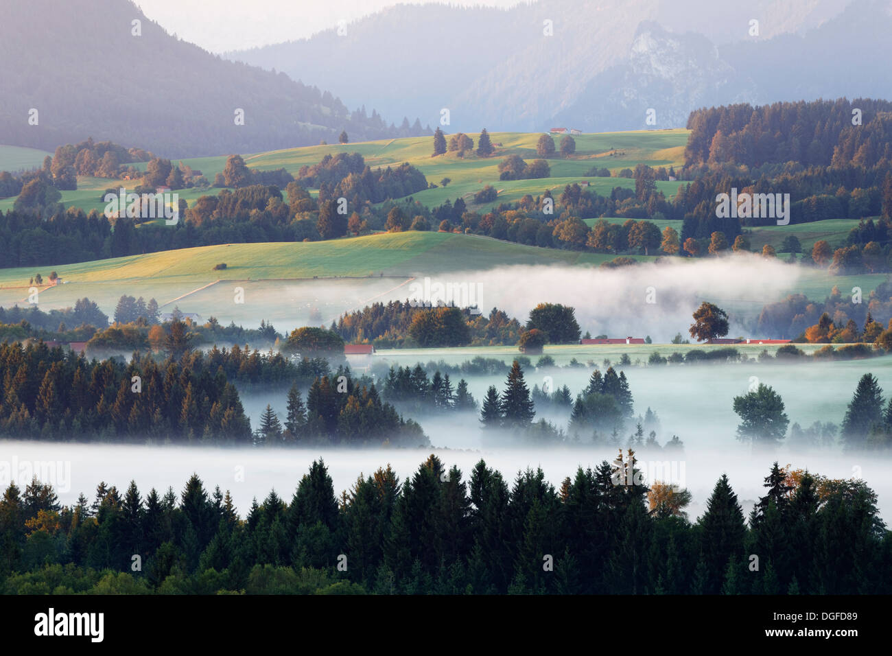 Landschaft in das Alpenvorland, morgen-Stimmung mit Nebel, Schönberg, Rottenbuch, Region Pfaffenwinkel, Bayern, Oberbayern Stockfoto