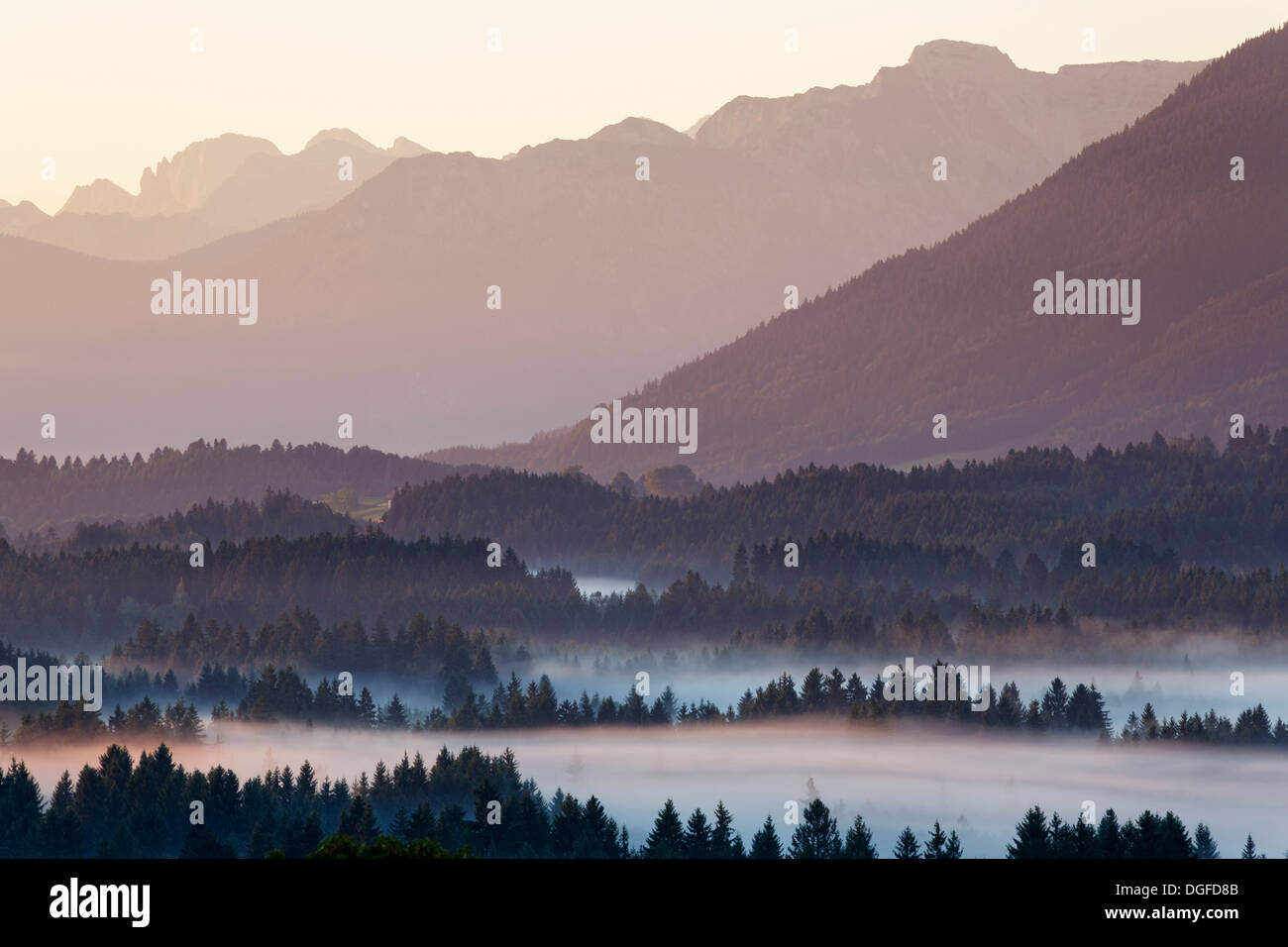 Landschaft in das Alpenvorland, morgen-Stimmung mit Nebel, Schönberg, Rottenbuch, Region Pfaffenwinkel, Bayern, Oberbayern Stockfoto