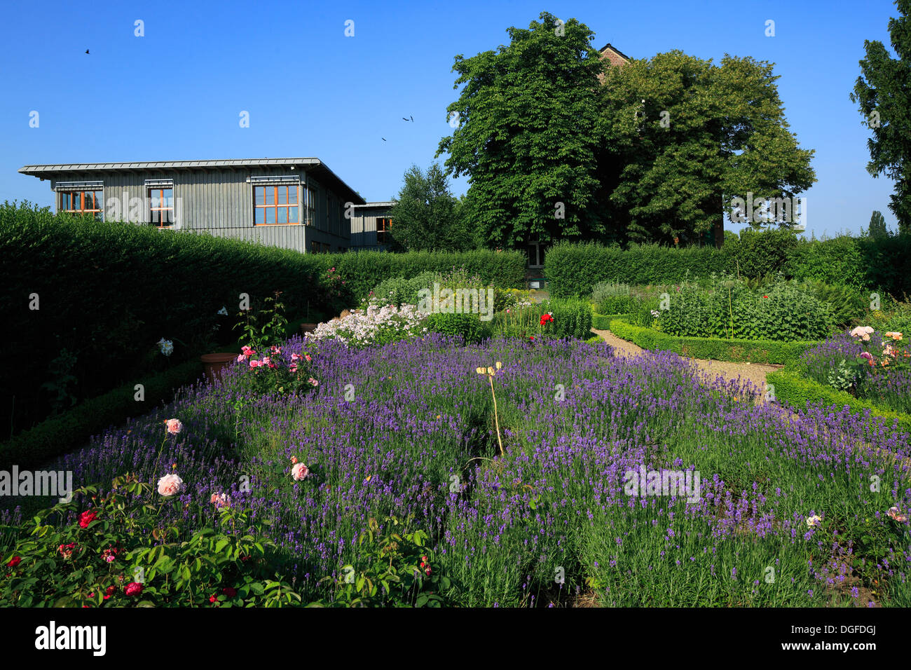Bauerngarten am Haus Ripshorst, Rasenspiels Zum Emscher Landschaftspark, Oberhausen, Ruhrgebiet, Nordrhein-Westfalen Stockfoto