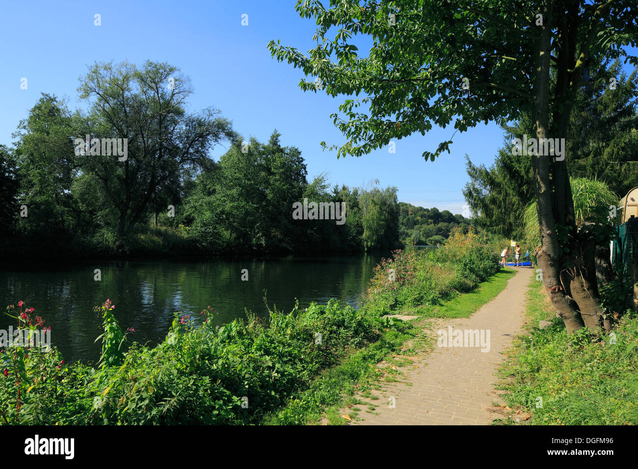 Dahlhausener Ruhrauen Und Ruhrlandschaft Bei Bochum-Dahlhausen, Ruhrgebiet, Nordrhein-Westfalen Stockfoto