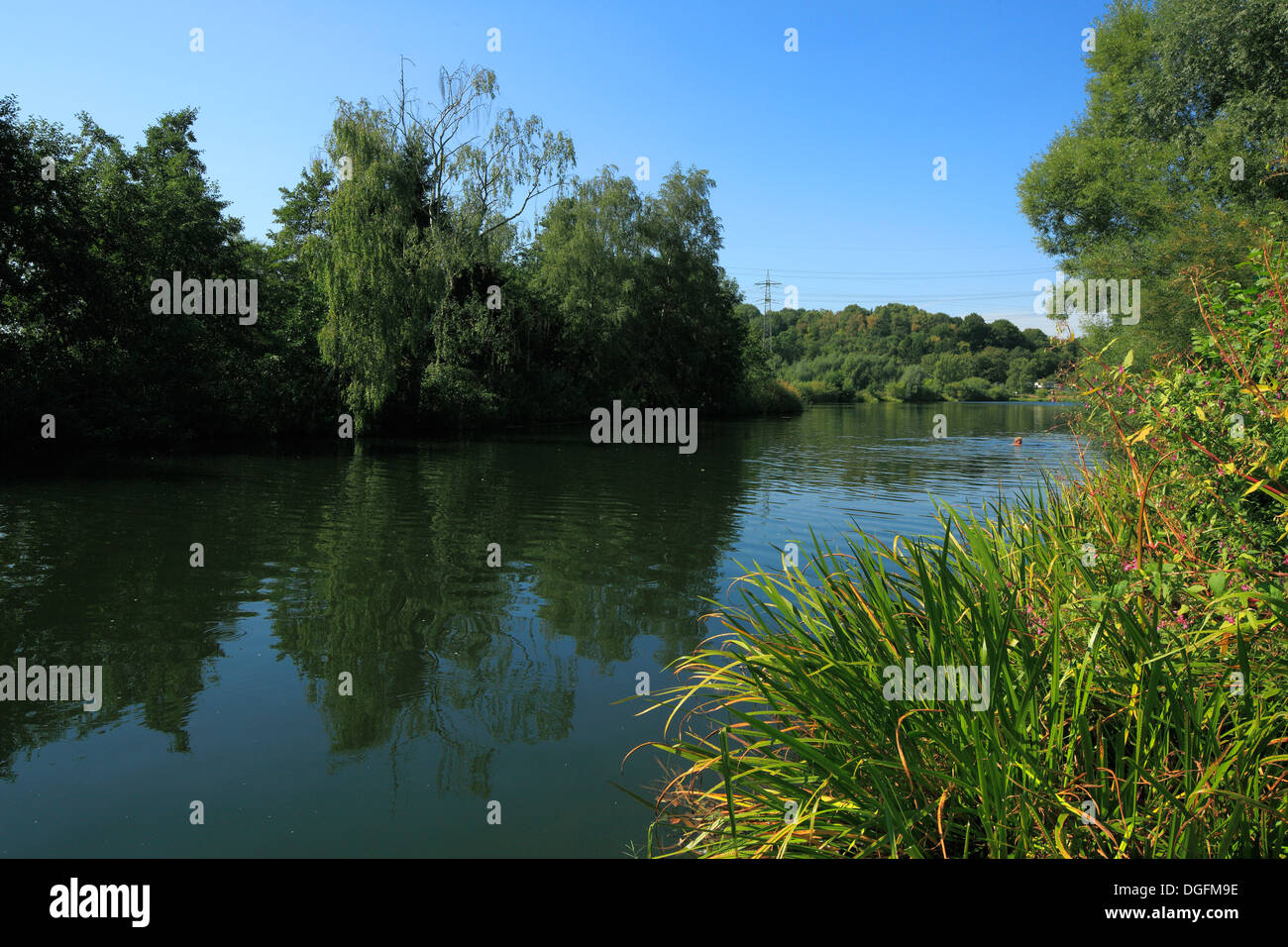 Dahlhausener Ruhrauen Und Ruhrlandschaft Bei Bochum-Dahlhausen, Ruhrgebiet, Nordrhein-Westfalen Stockfoto