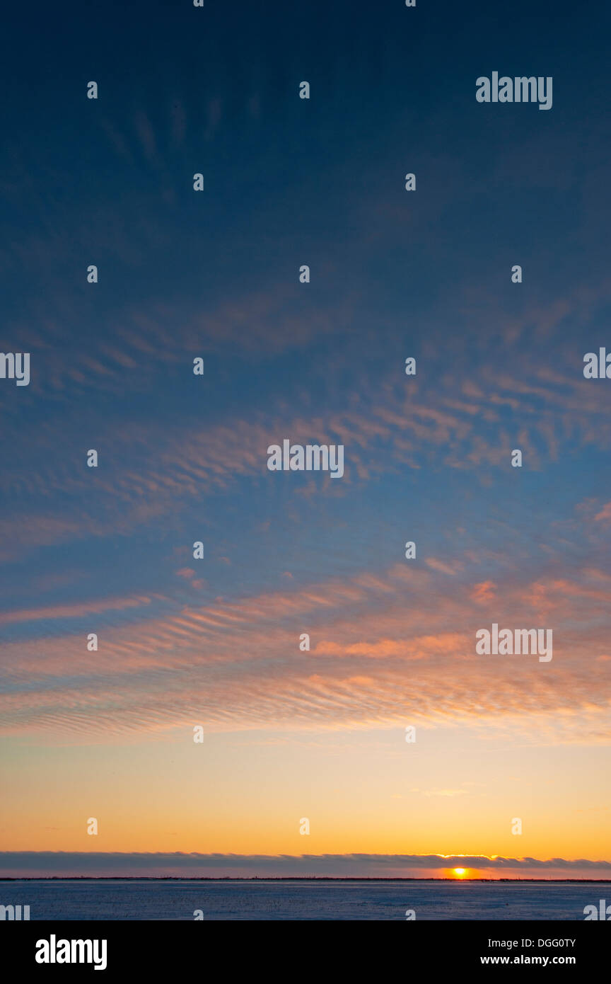 Kanadischen Prärien Pastell Sonnenuntergang Himmel über schneebedecktes Feld im Winter. Stockfoto