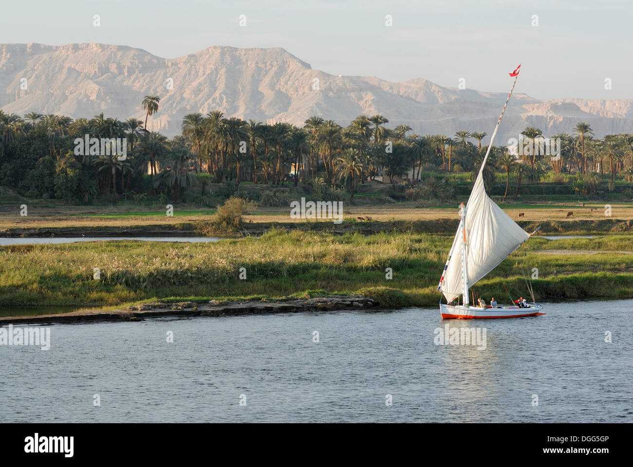 Feluke, einem traditionellen hölzernen Segelboot auf dem Nil, Luxor, Nil Senke, Ägypten, Afrika Stockfoto