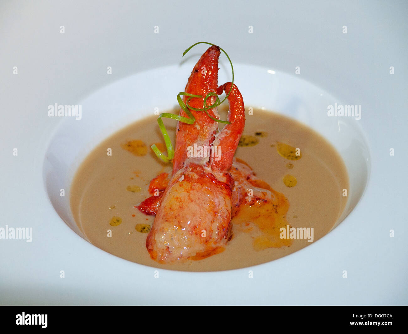 -Suppe von Hummer- Stockfoto