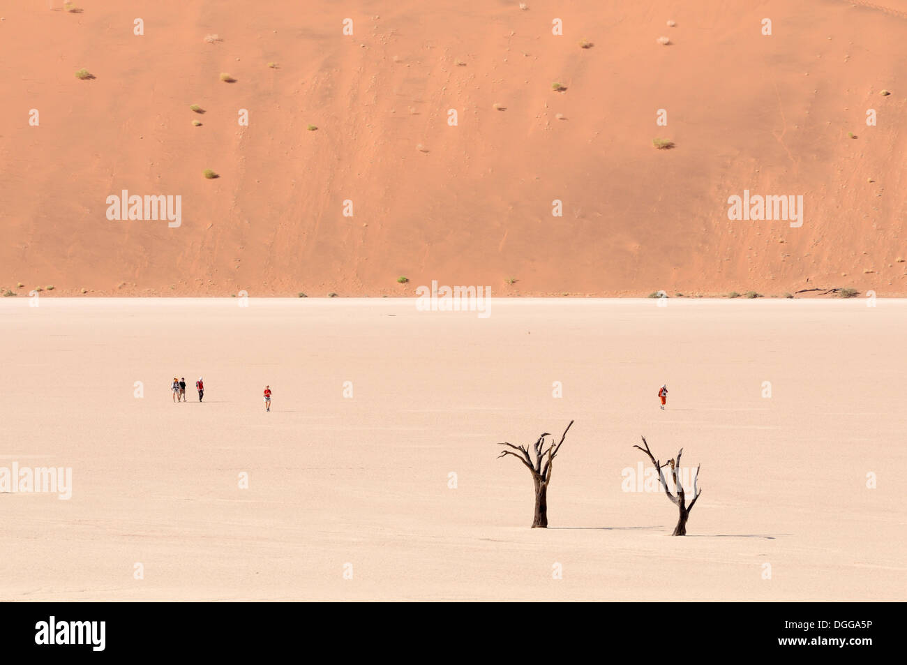 Tote Bäume auf einer trockenen Lehm schwenken vor roten Dünen, Deadvlei, Sossusvlei, Namib-Wüste Namib Naukluft Park, Namibia Stockfoto