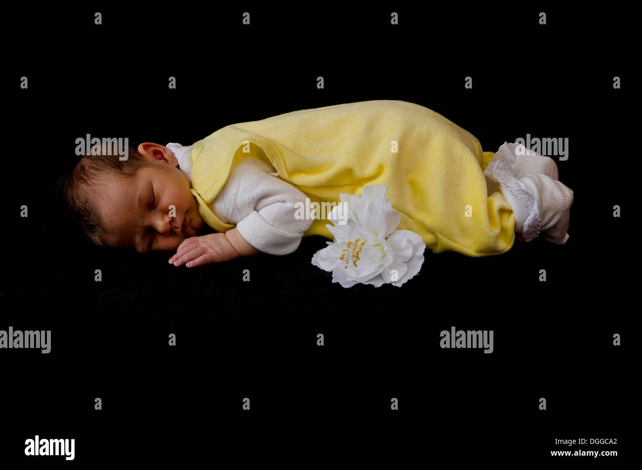 Baby, zwei Wochen schlafen, Deutschland Stockfoto